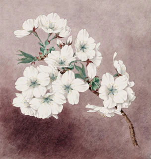 A delicate watercolor of a blooming cherry blossom branch against a soft pastel background.