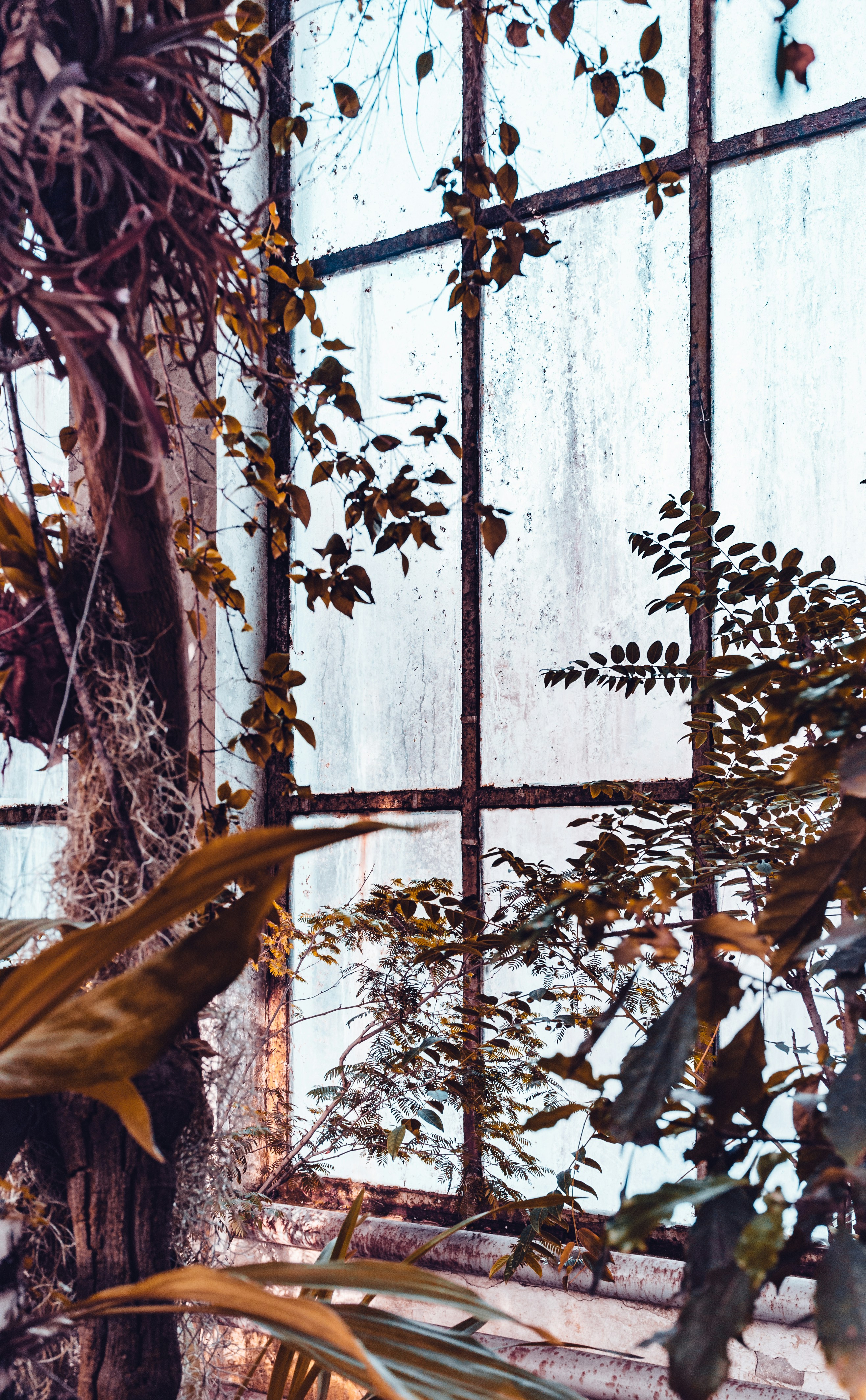 Photo by moisamihai092