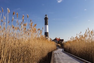 white and black lighthouse near brown grass field under blue sky during daytime