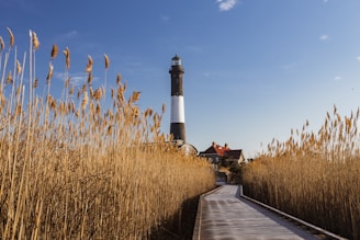 white and black lighthouse near brown grass field under blue sky during daytime