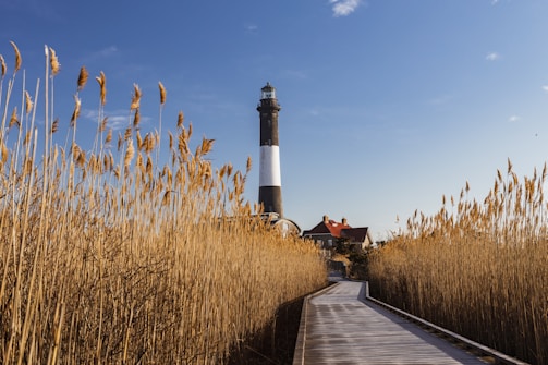 best quality movers white and black lighthouse near brown grass field under blue sky during daytime