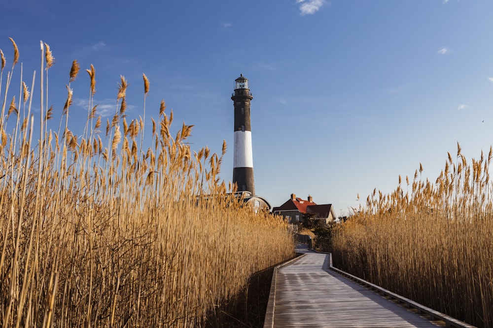 white and black lighthouse near brown grass field under blue sky during daytime