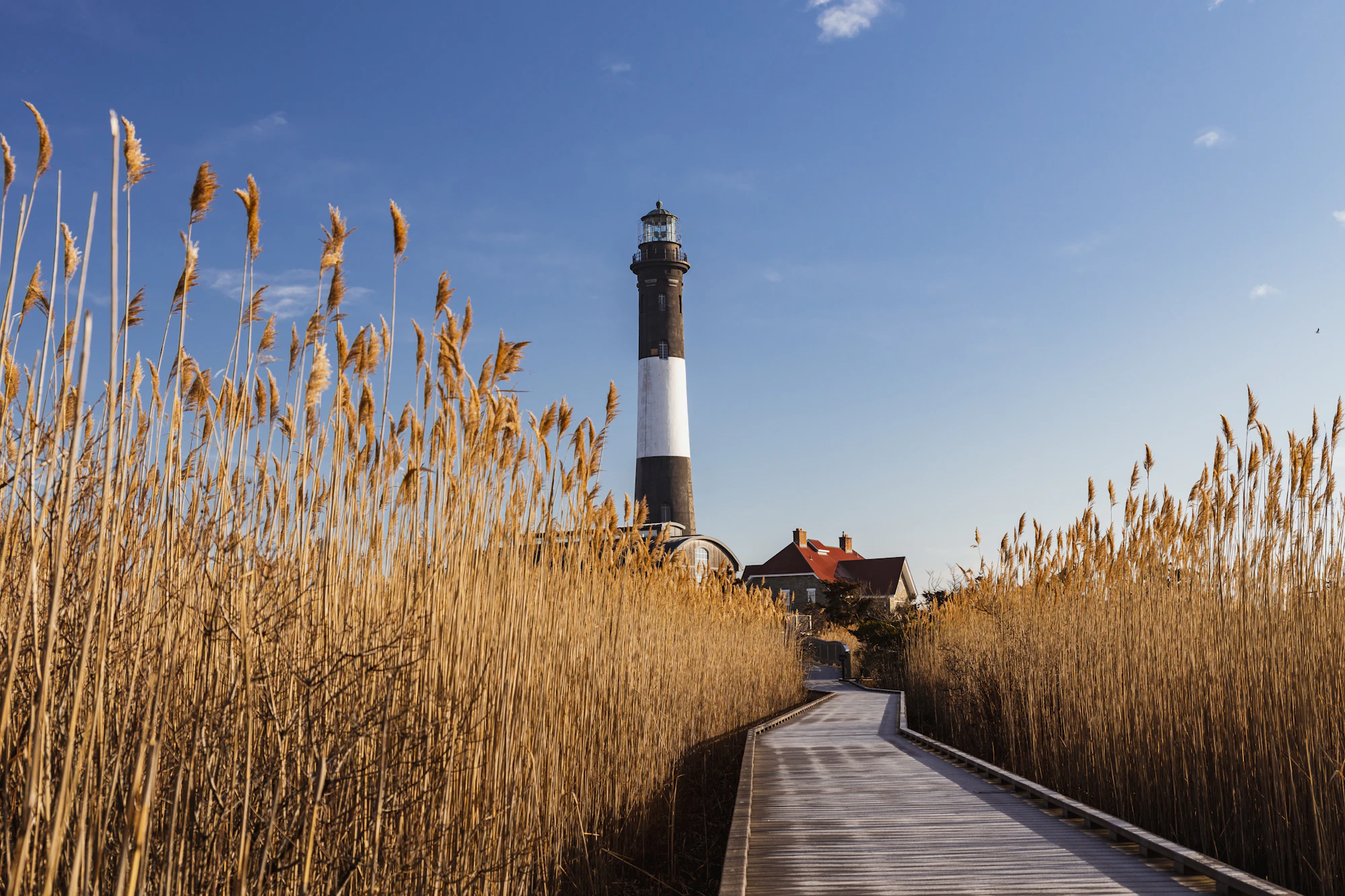 Montauk Point Lighthouse on Long Island, New York, where Island Web Solutions serves local businesses