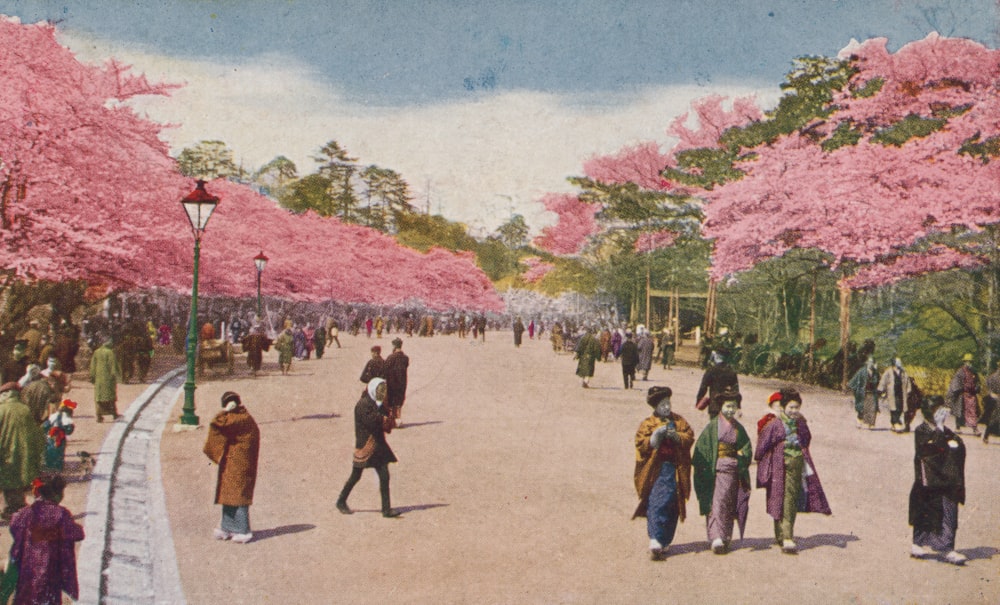 Single cherry blossom at Ueno Park (Flower season at Tokyo)