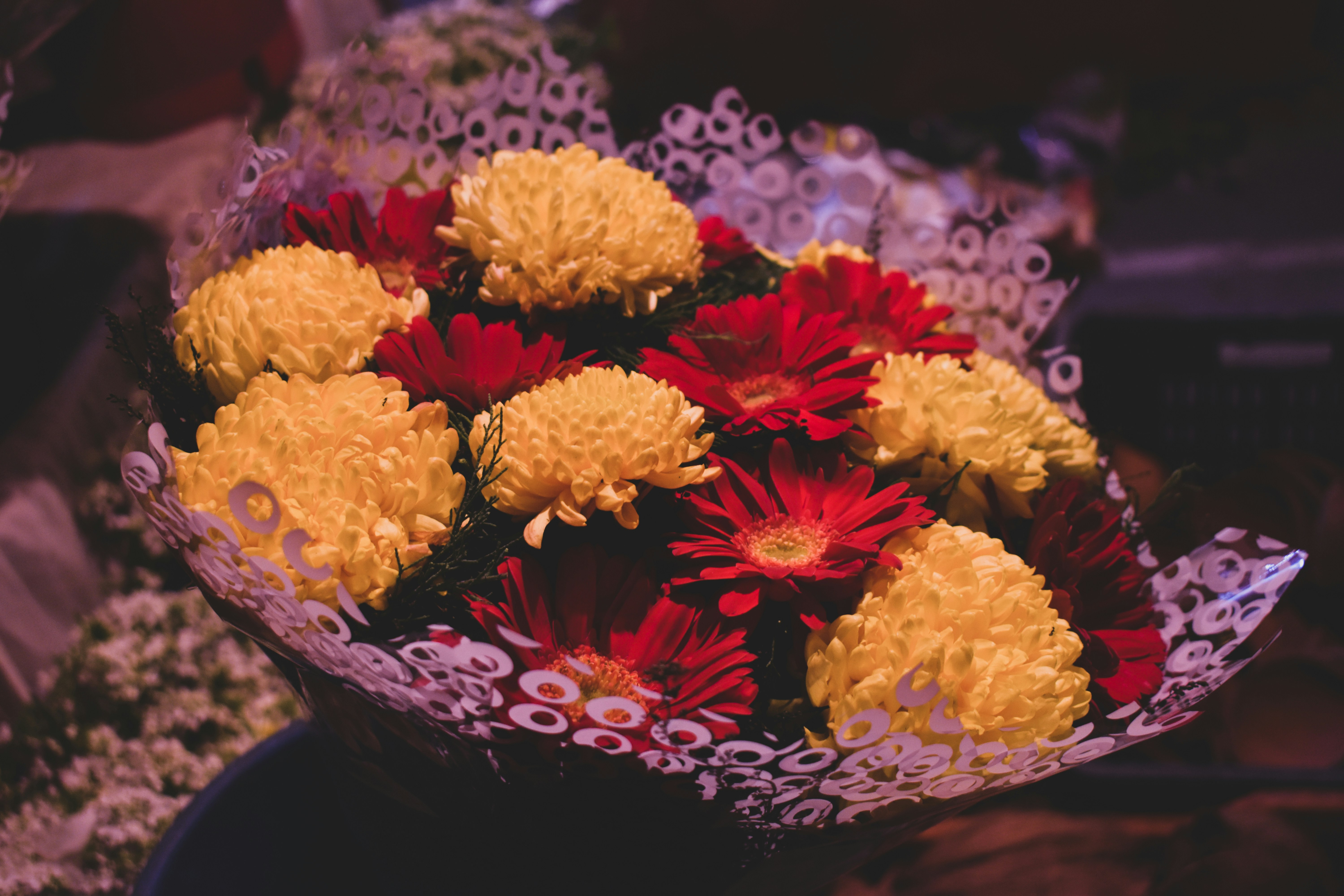 Photo by lensartwork