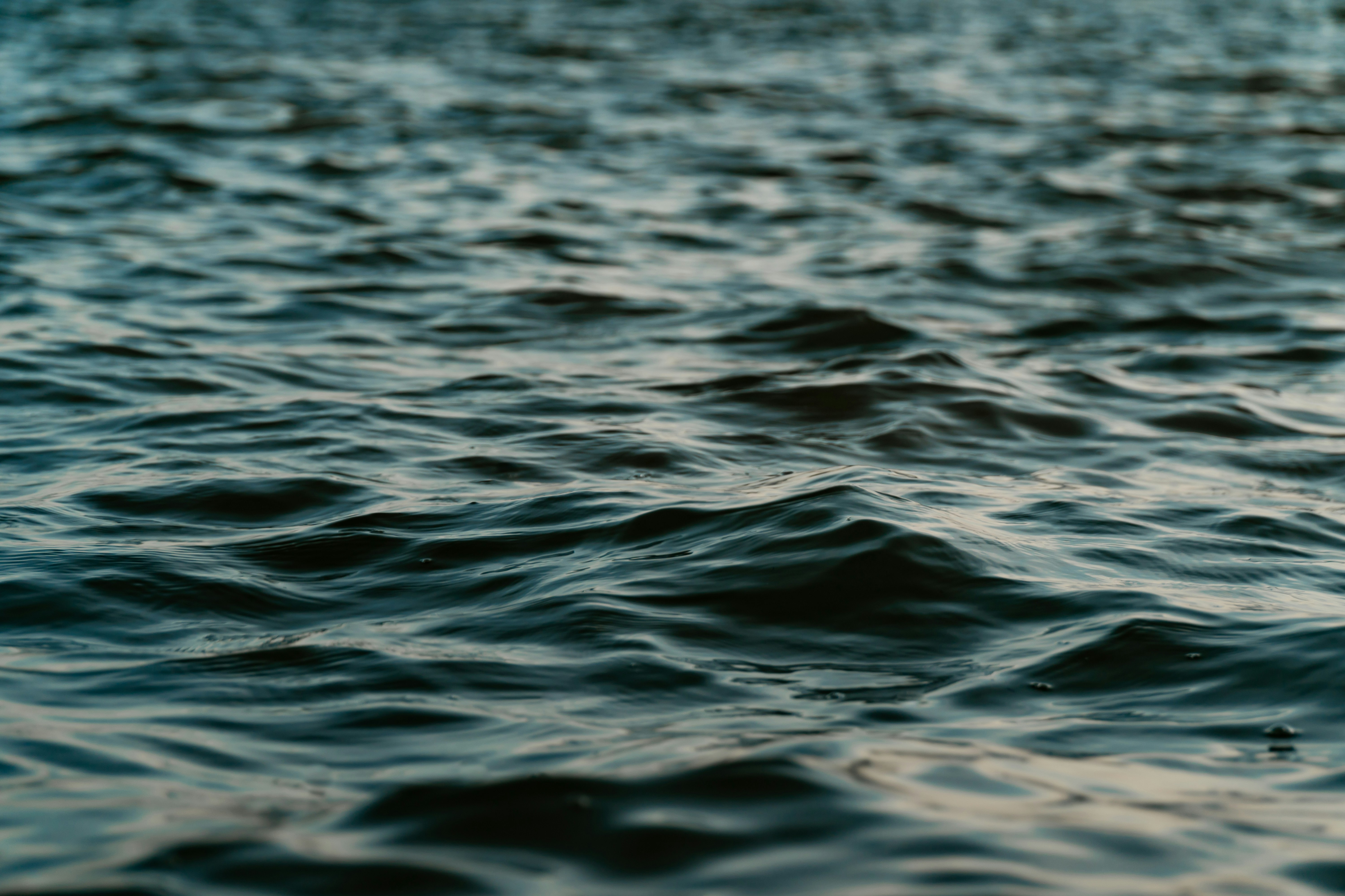 Photo by tonyluginsland