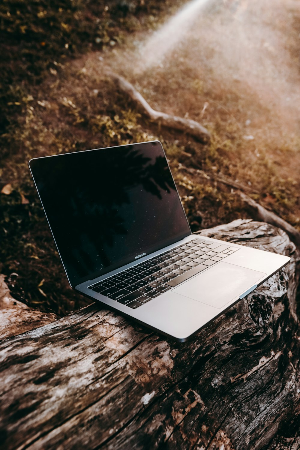 macbook pro on brown rock