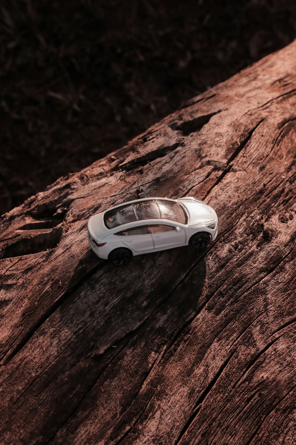 white and black car on brown rock