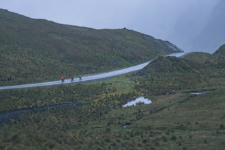 gray asphalt road between green grass field during daytime