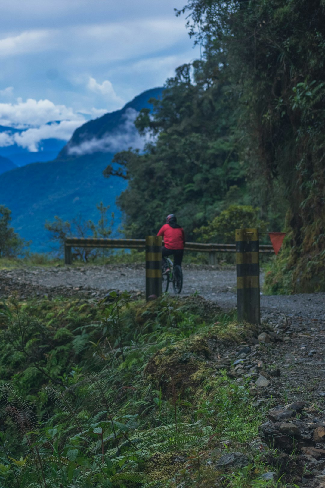 main pic travel guide of Yungas