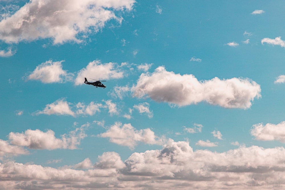 black bird flying under blue sky during daytime