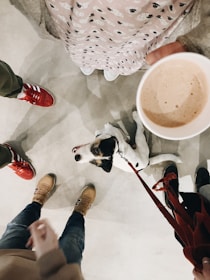 A small dog on a leash stands surrounded by people wearing colorful shoes. One person holds a cup of coffee, and the dog looks up towards them. The floor is concrete, and the scene appears casual and relaxed.