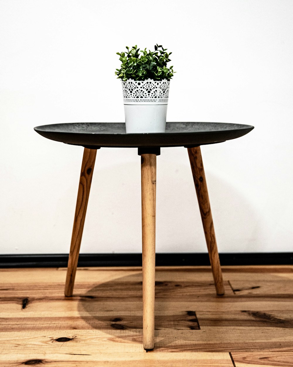 green plant on brown wooden seat
