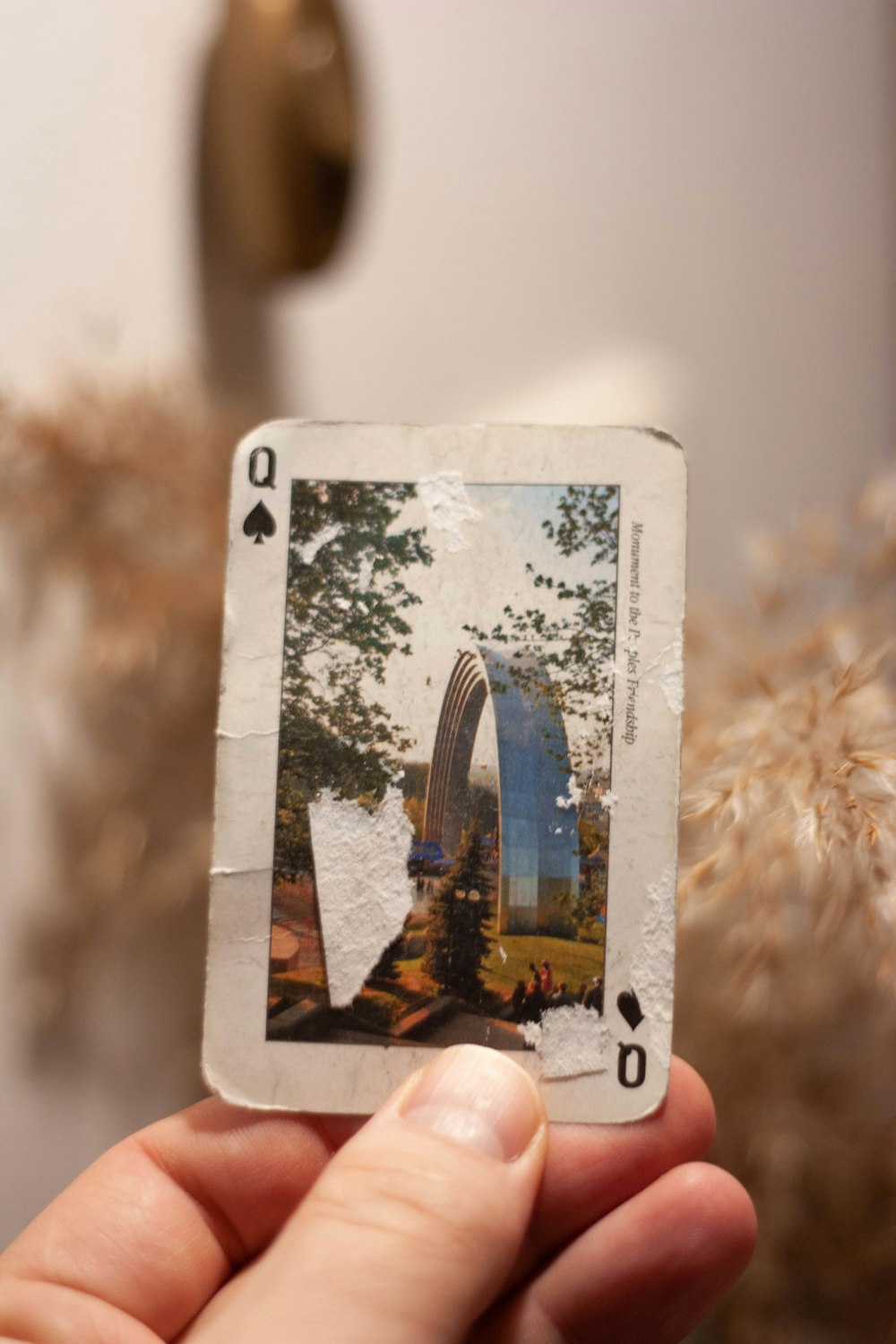 person holding a white and black card