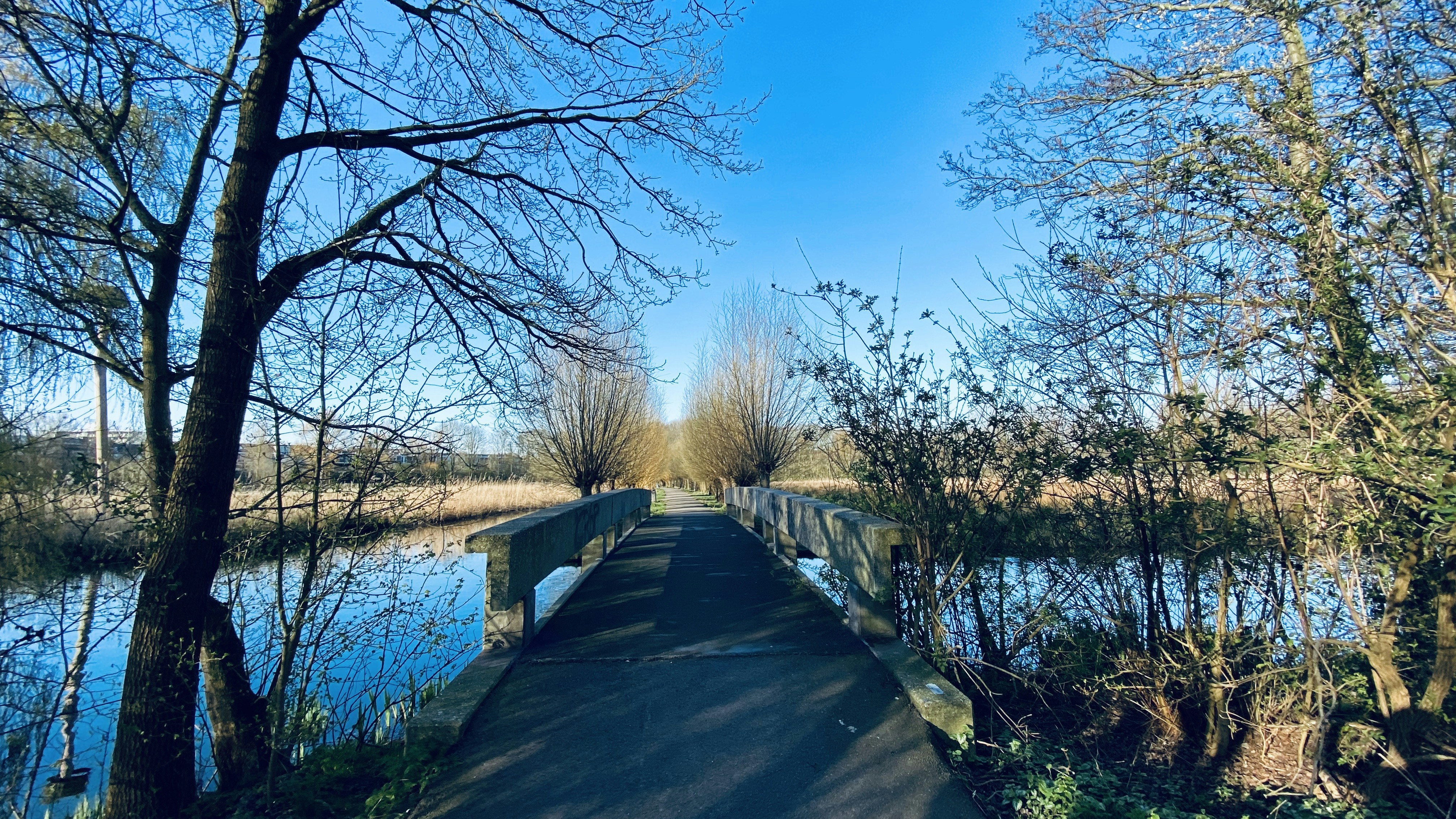 Photo by maartenscheer