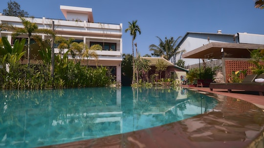 green palm tree near swimming pool during daytime