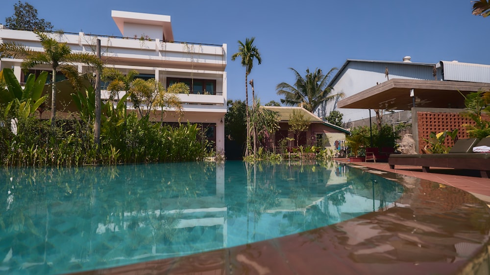 green palm tree near swimming pool during daytime