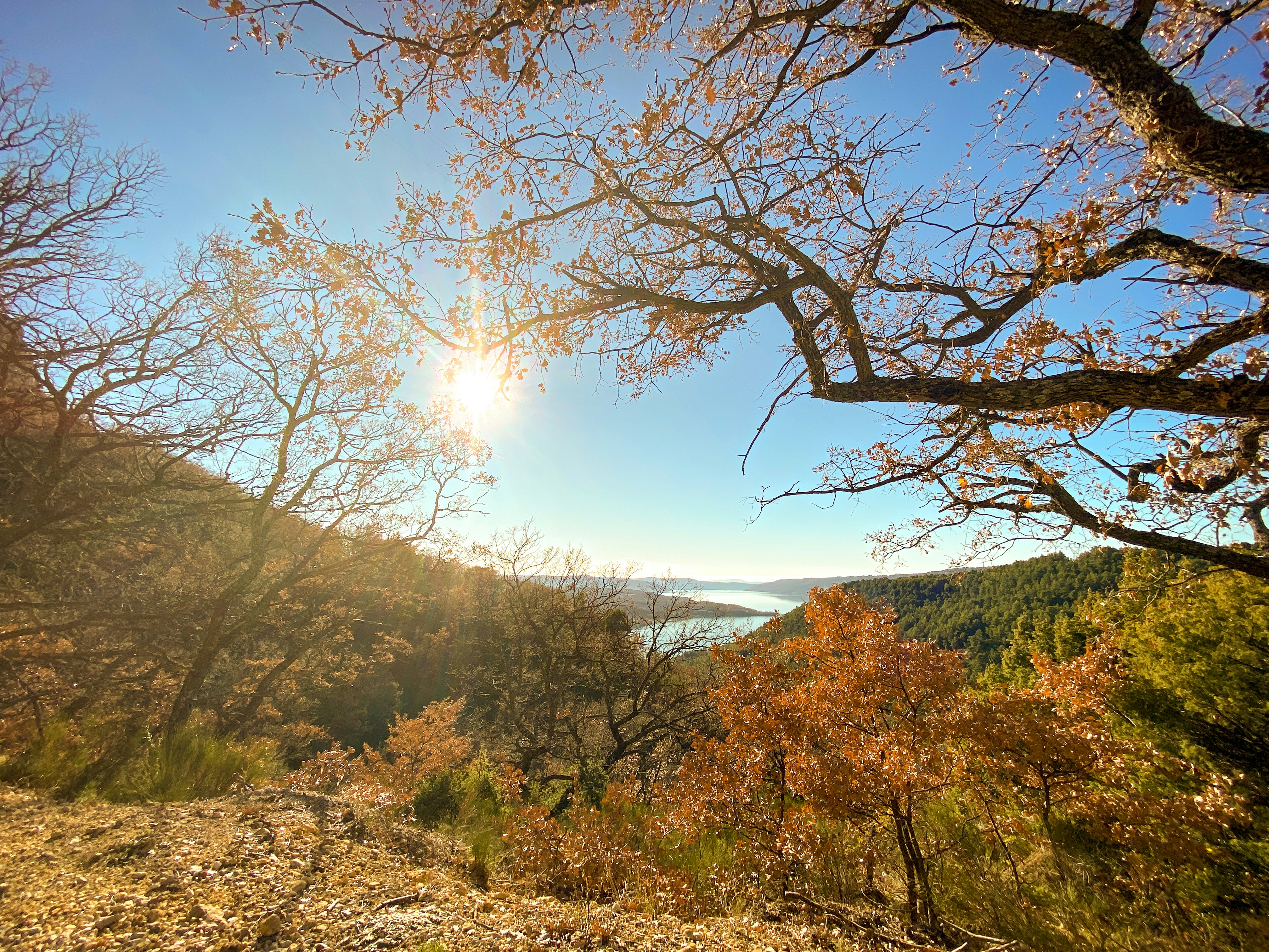 Photo by ricardofrantz