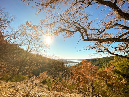 green trees on mountain under blue sky during daytime in Verdun France