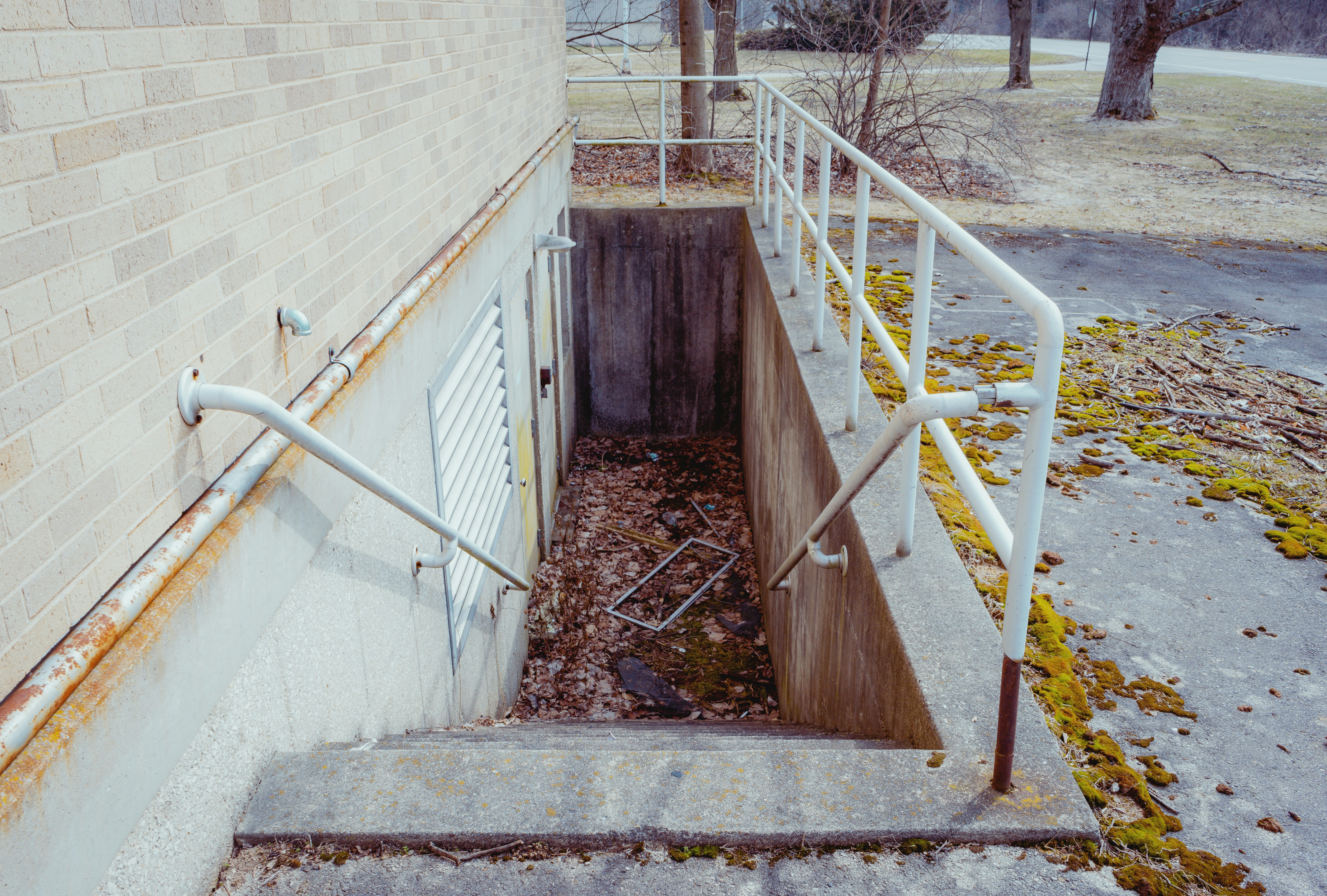 brown wooden ladder on brown brick wall