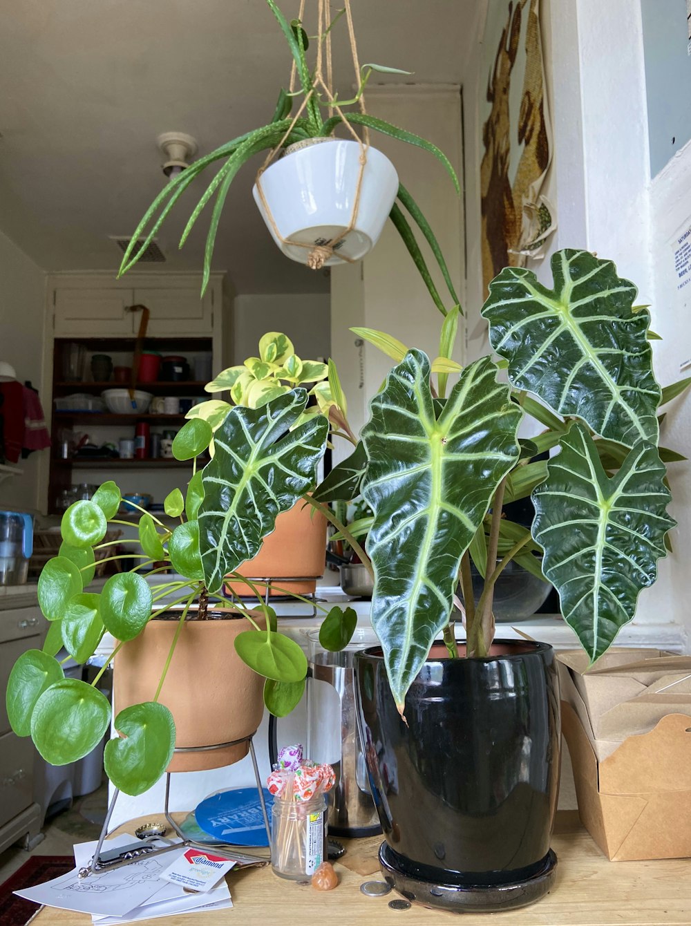 green plant on clear glass vase