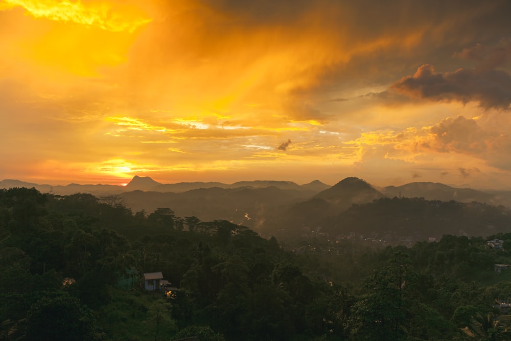 green trees and mountains during sunset