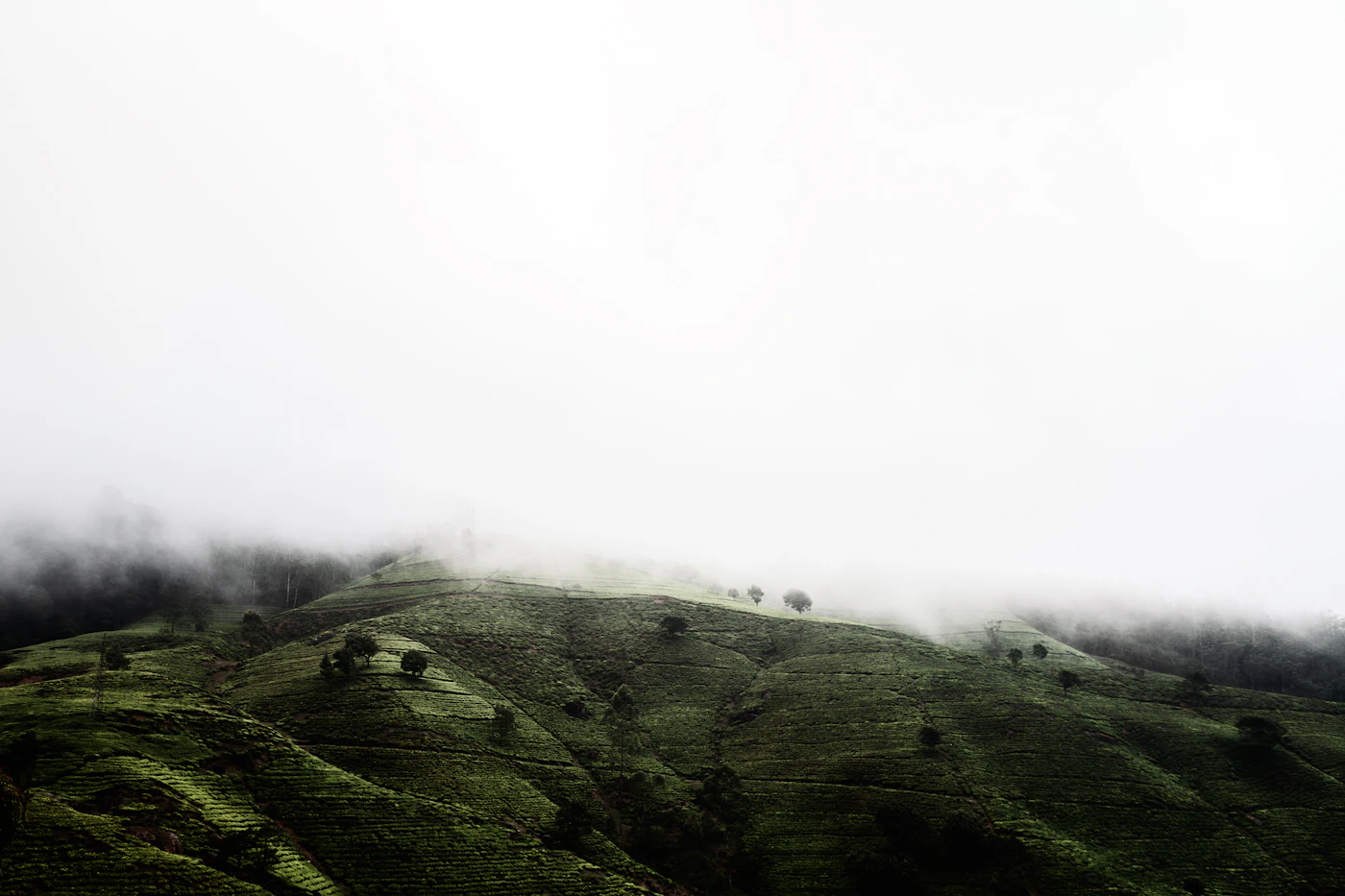 Haputale mountains Sri Lanka