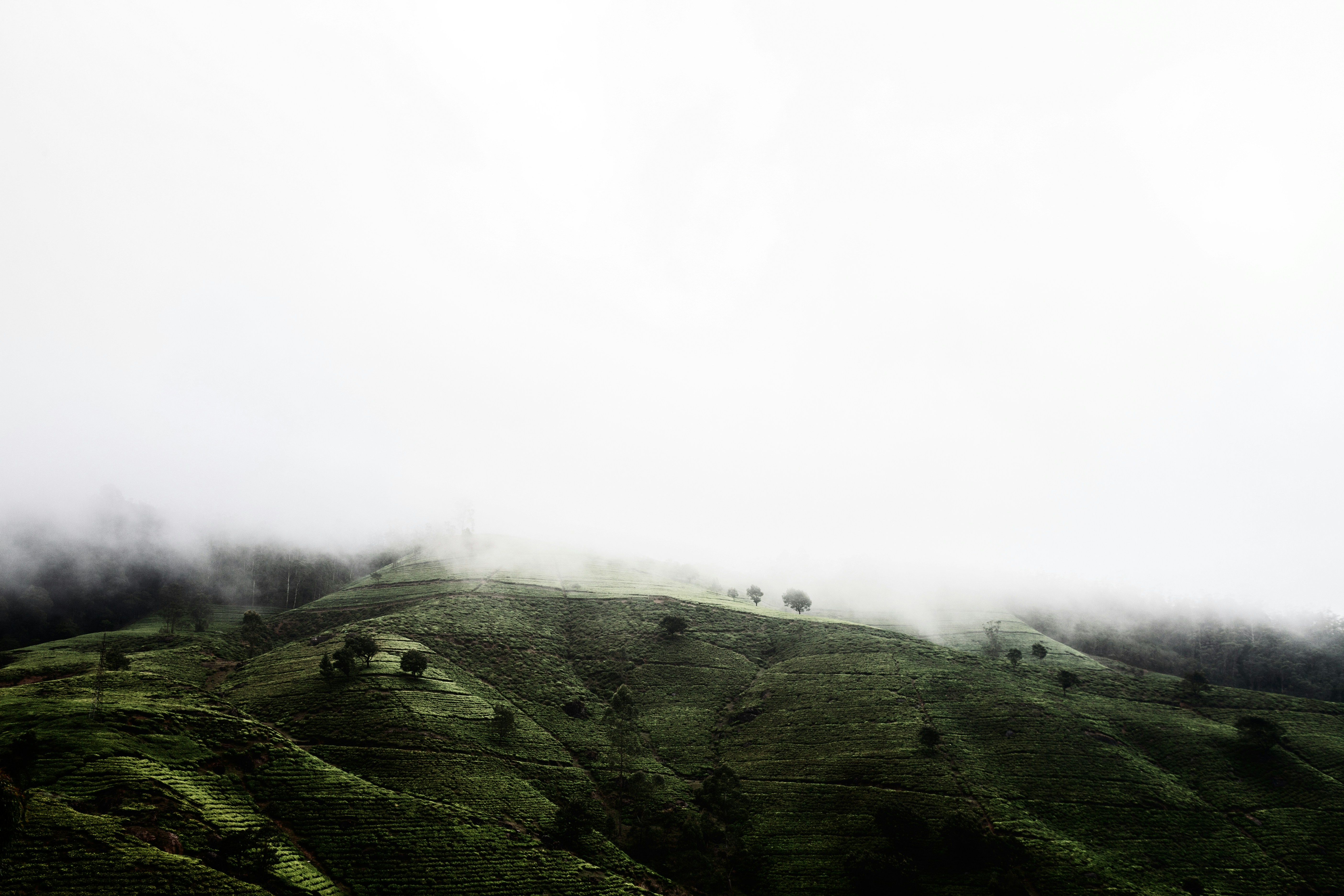 Nuwara eliya