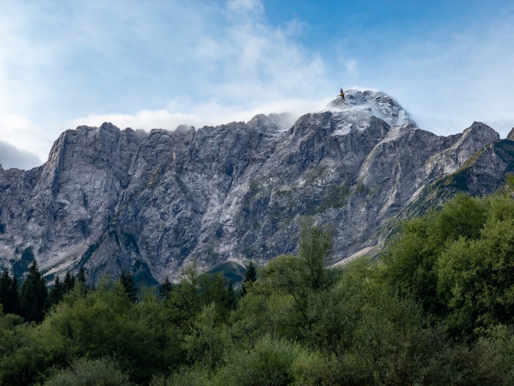 Grüne Bäume in der Nähe von Bergen unter weißen Wolken während des Tages