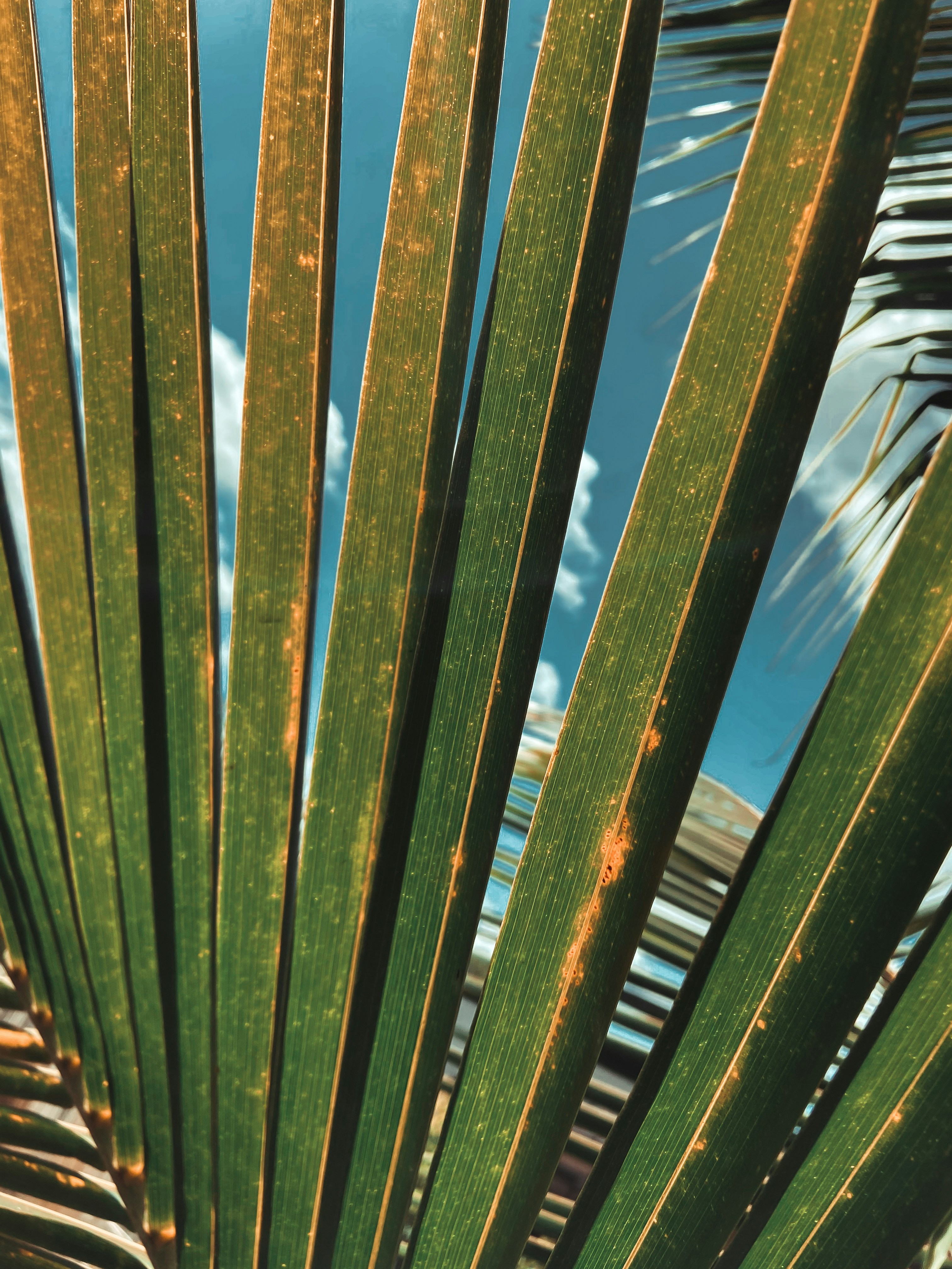 Photo by chrisseemore