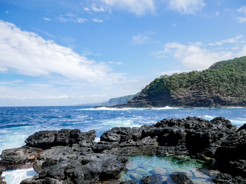rocky shore with green trees and blue sky during daytime