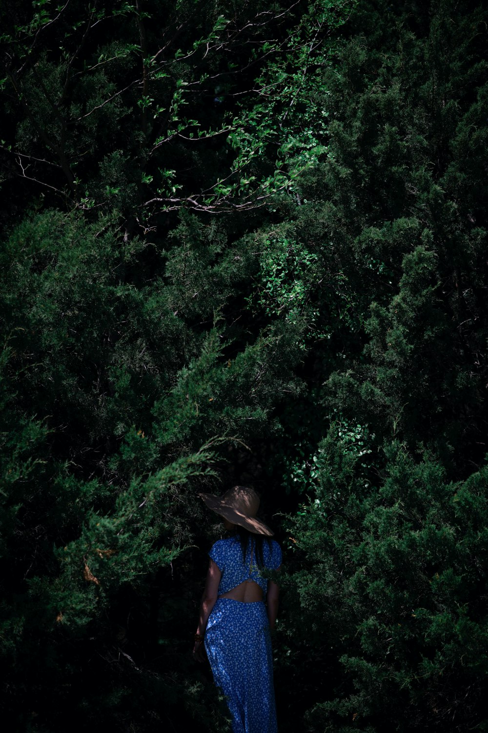 Frau in blau-rotem Kleid tagsüber vor grünen Bäumen