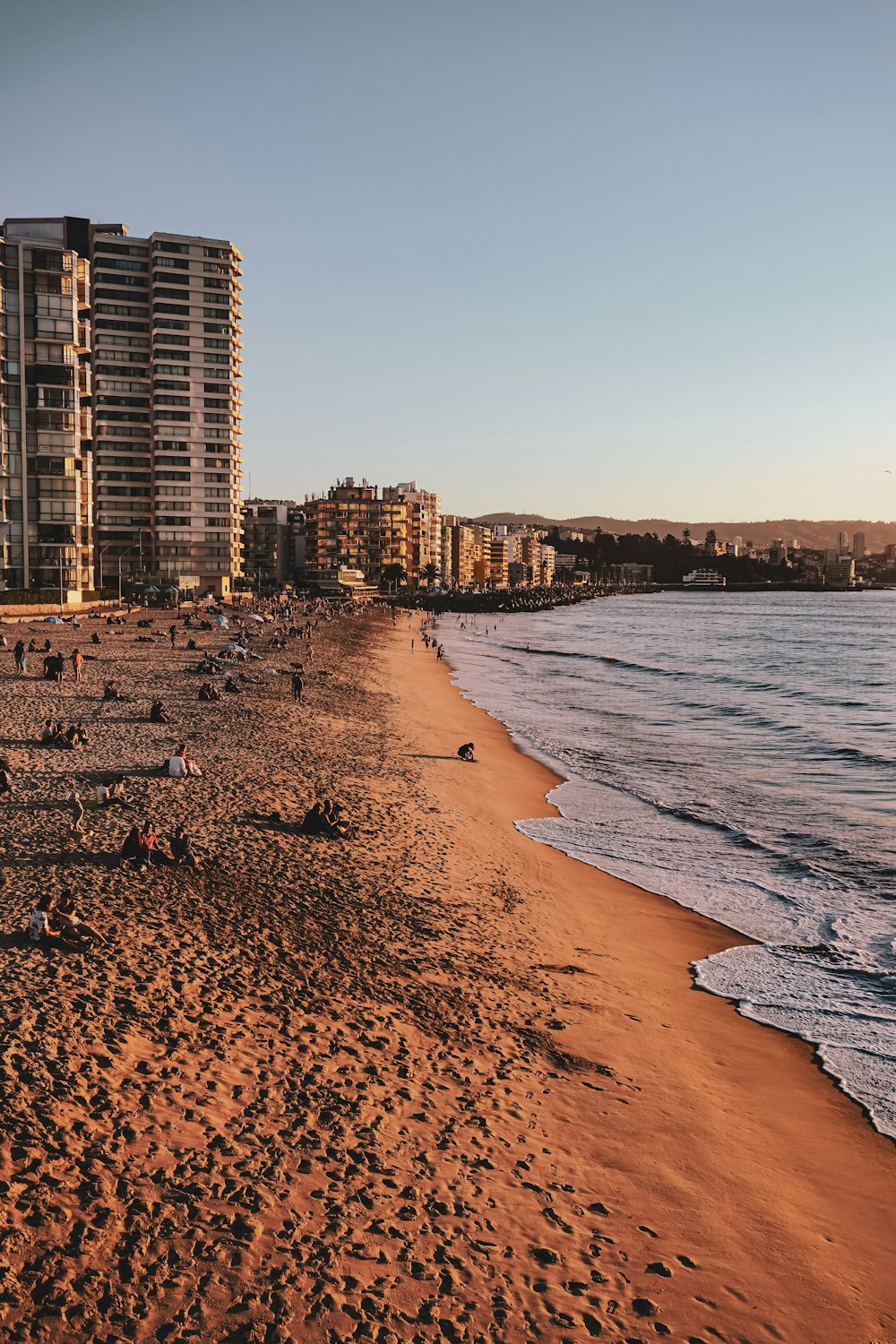 high rise buildings near sea during daytime