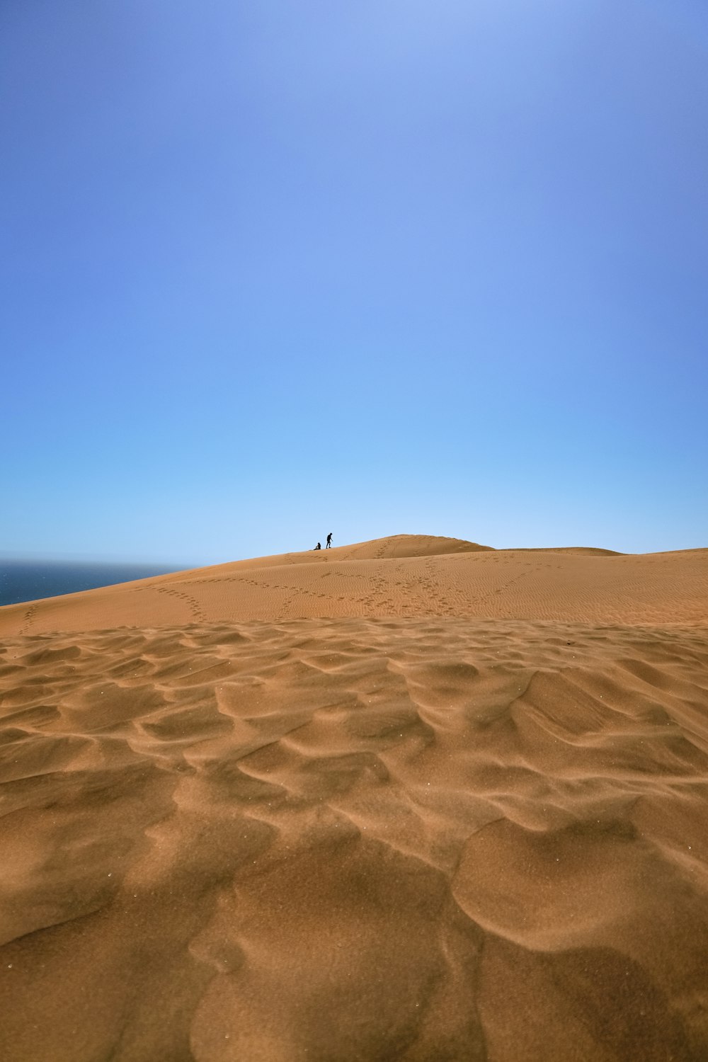 two people are walking on a sand dune