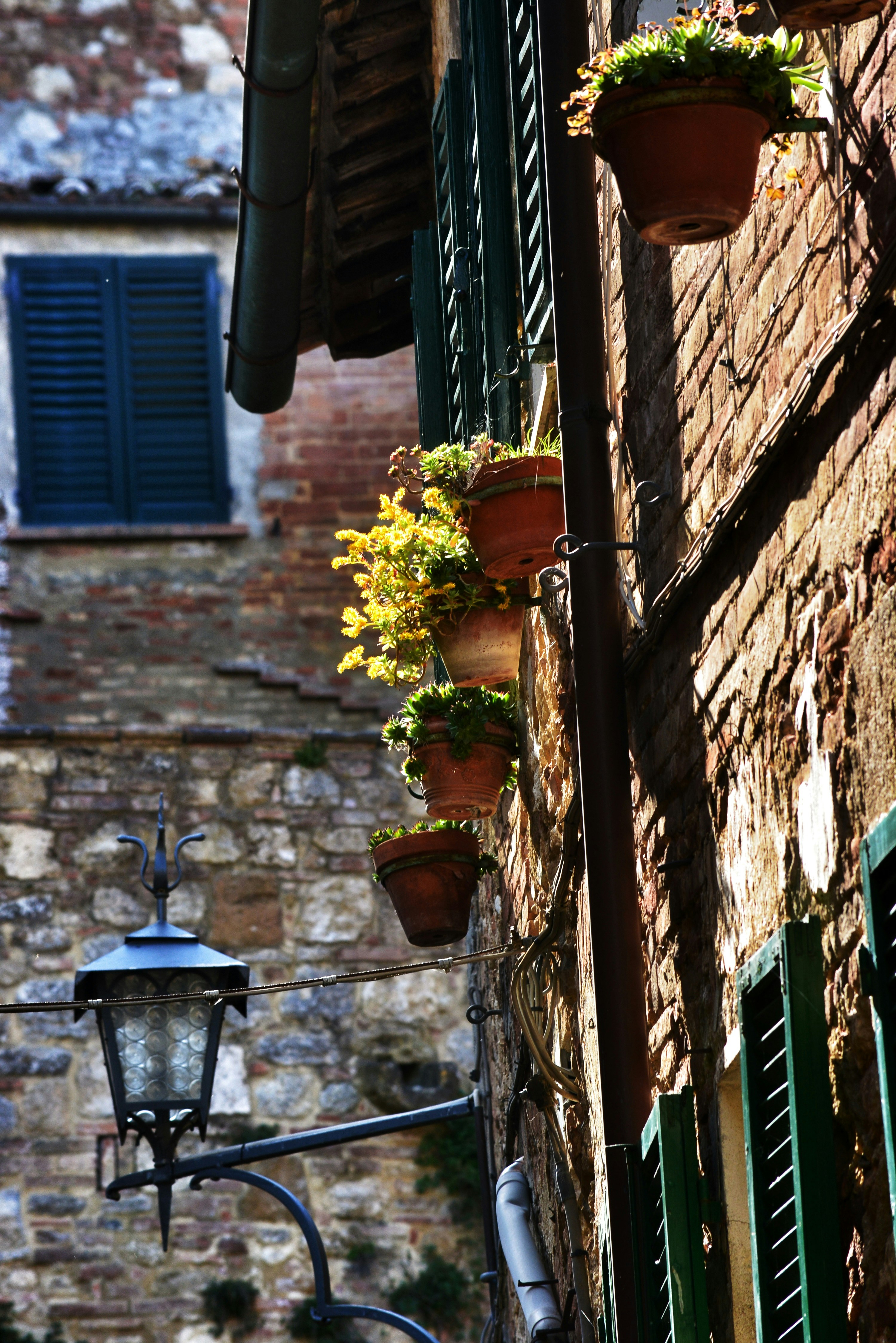 Photo by pedrino5_official