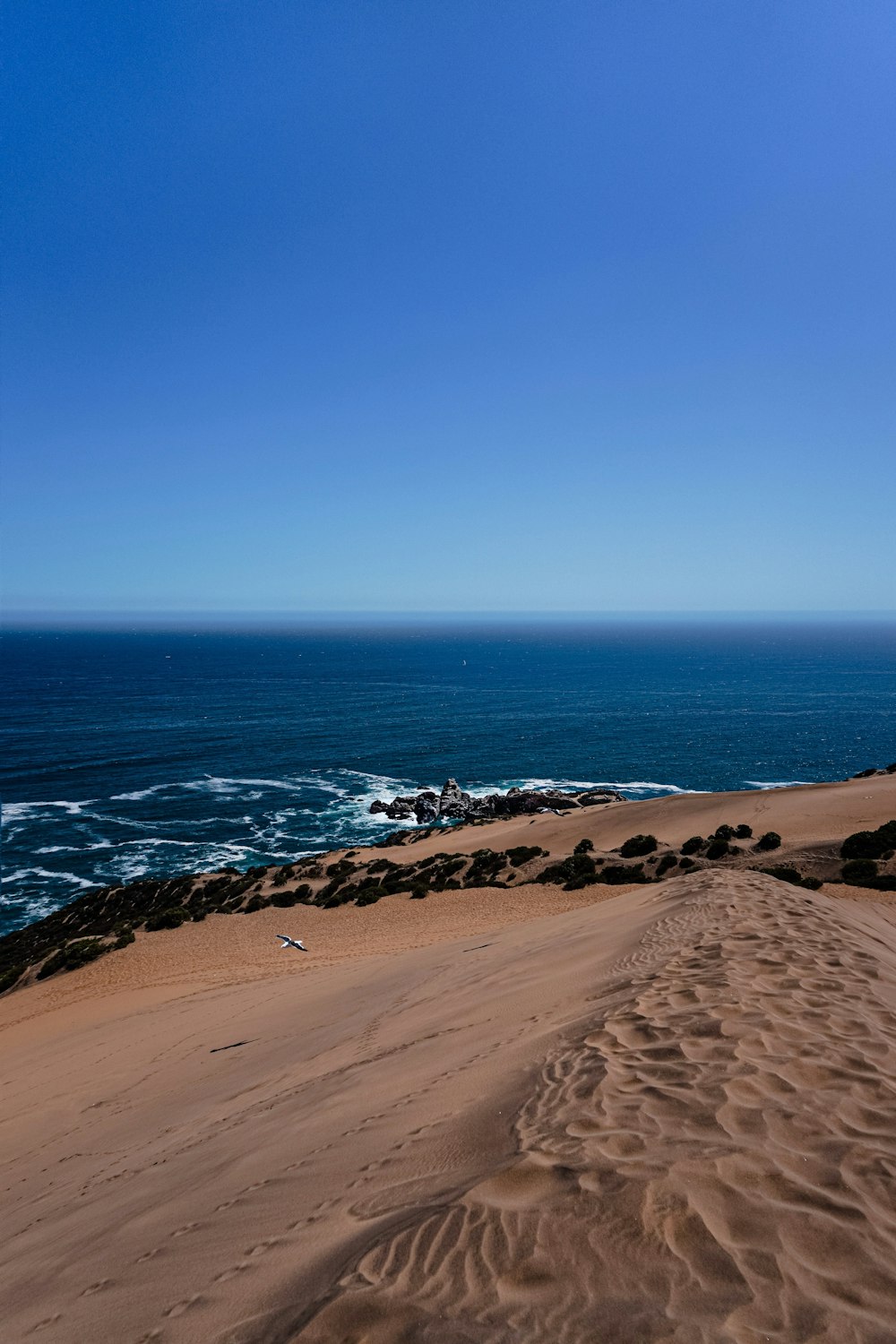 brown sand beach during daytime