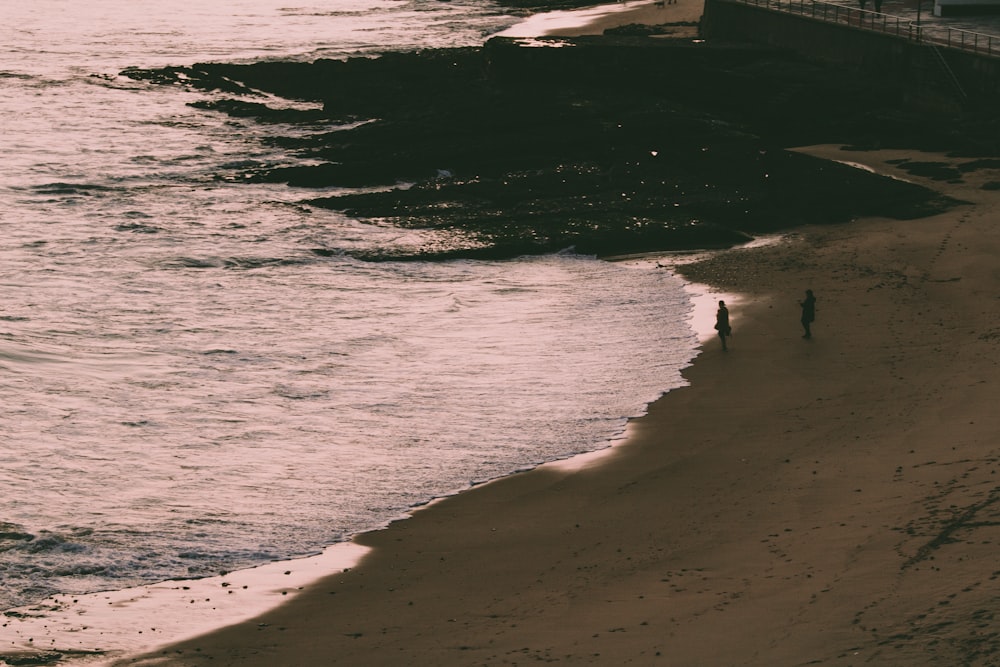 people walking on beach shore during daytime