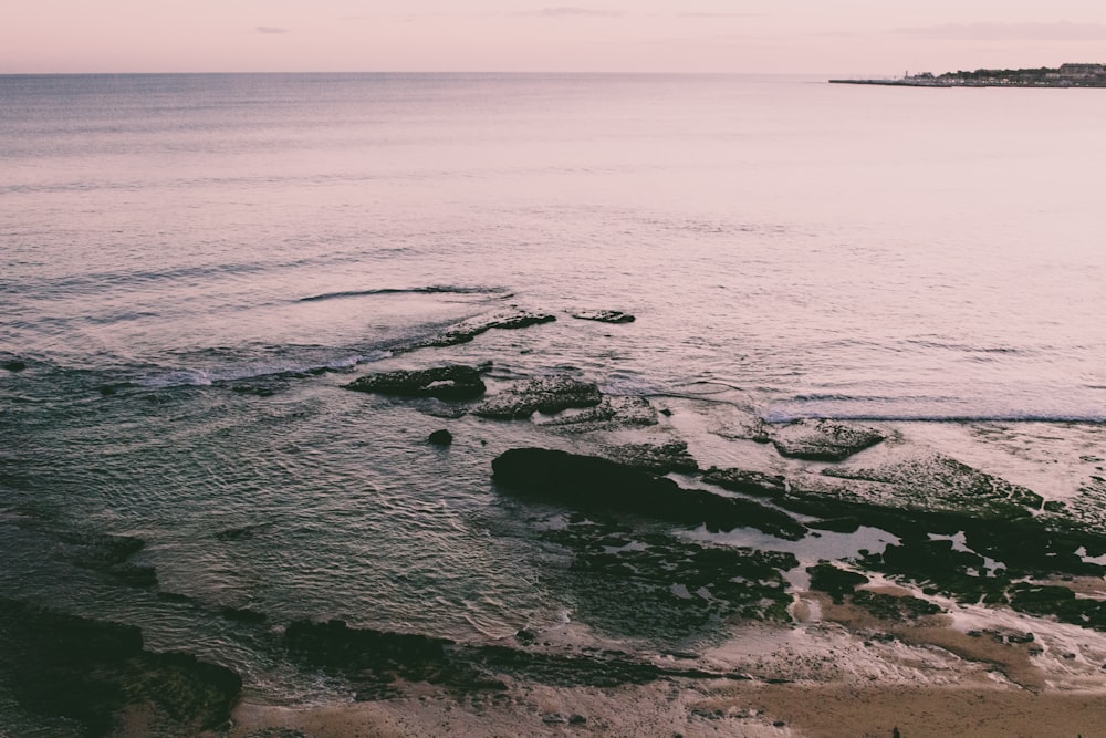 body of water during daytime