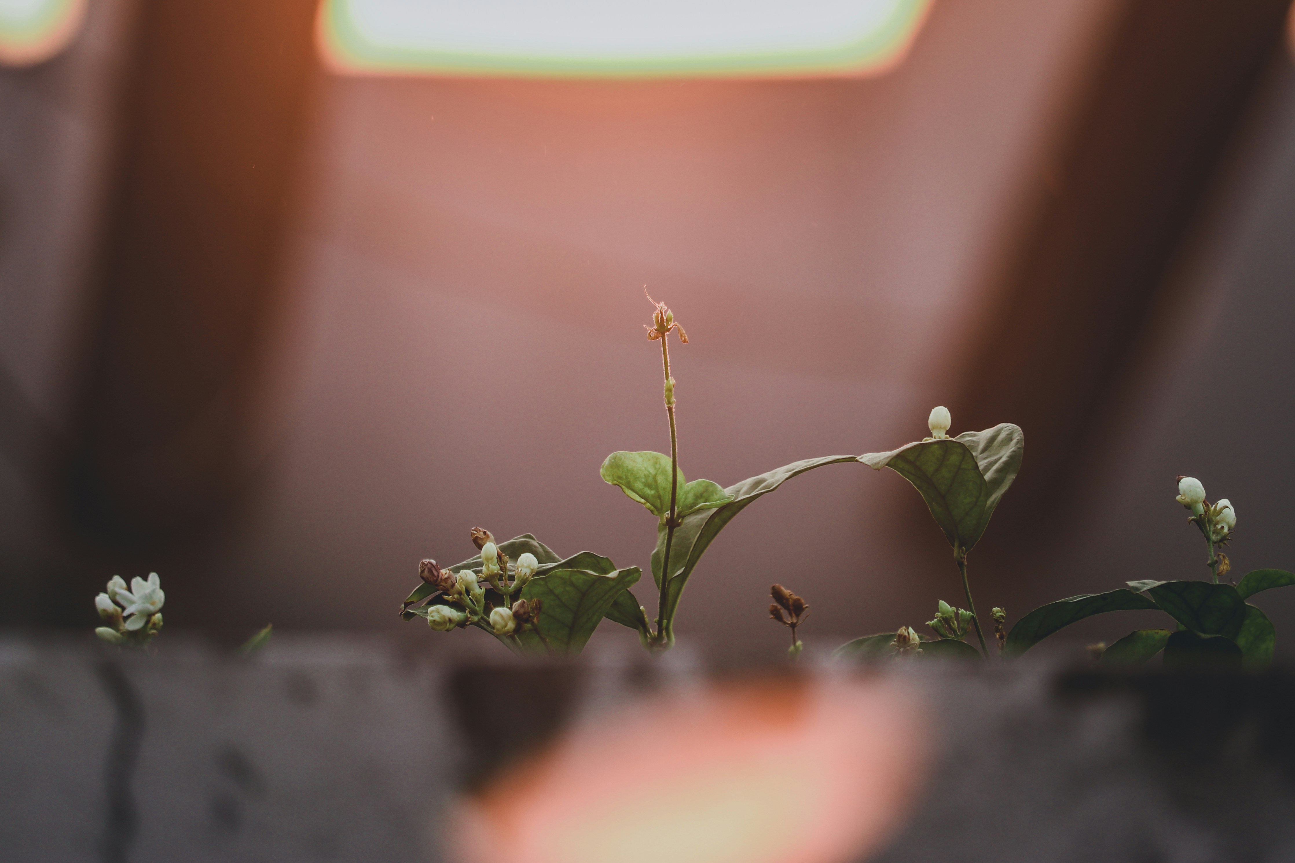 woman wearing yellow long-sleeved dress under white clouds and blue sky during daytime