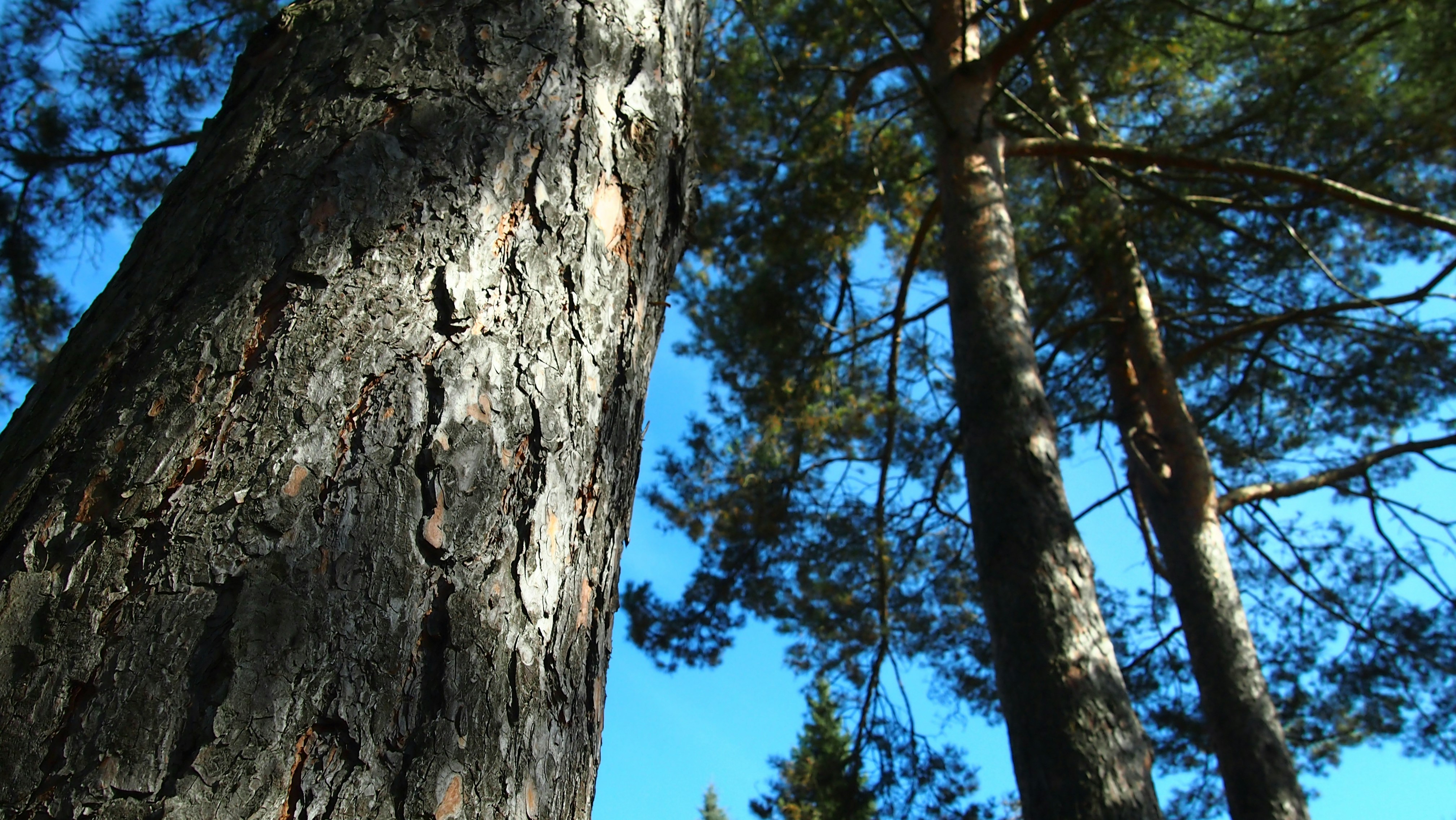 Photo by andrija__vukanovic