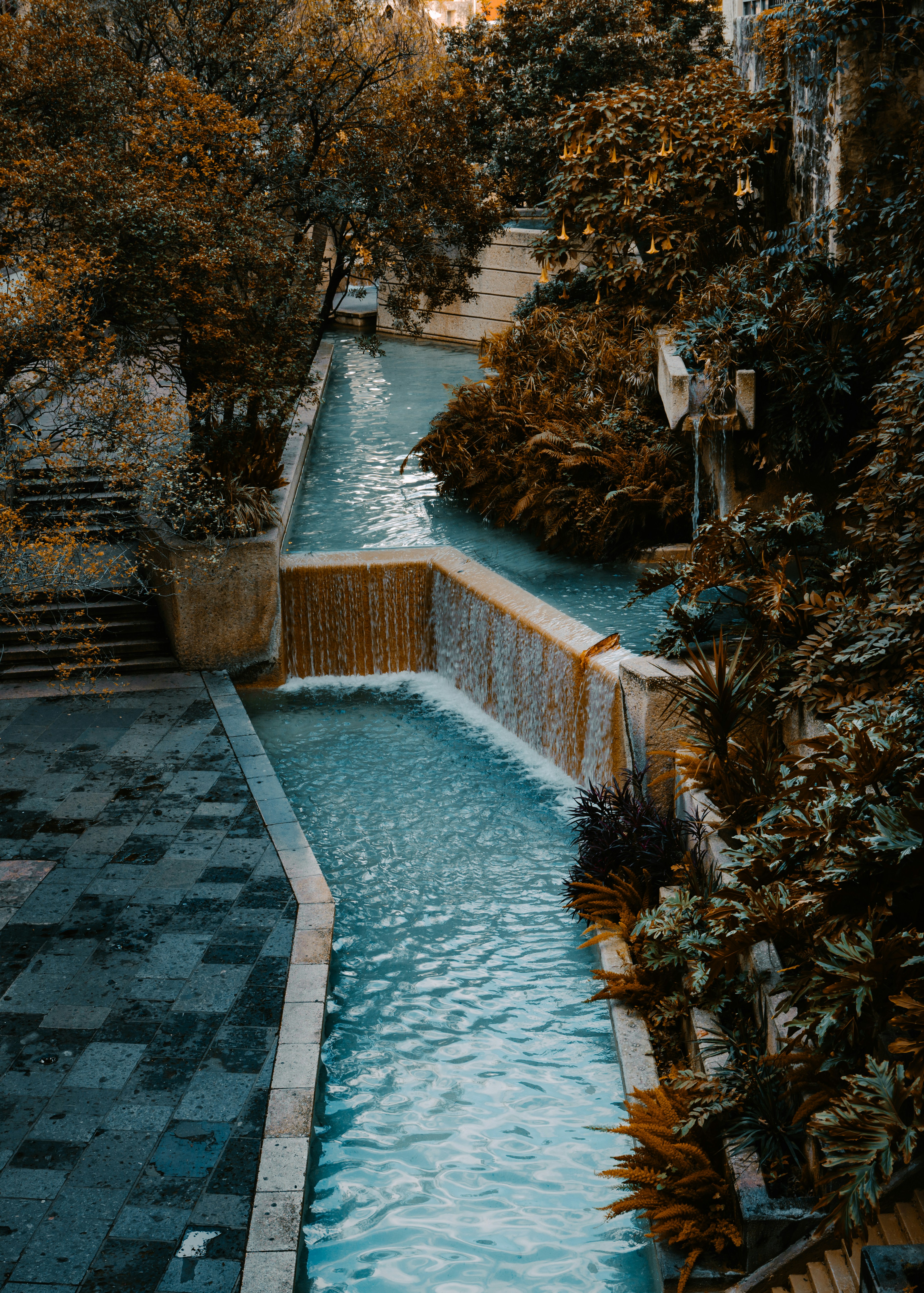 Grünpflanzen auf braunem Betonzaun