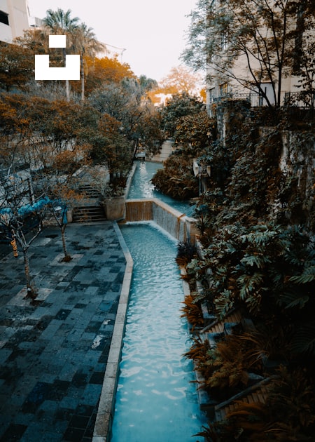 Swimming pool surrounded by green trees and buildings during daytime photo  – Free Las vegas strip Image on Unsplash