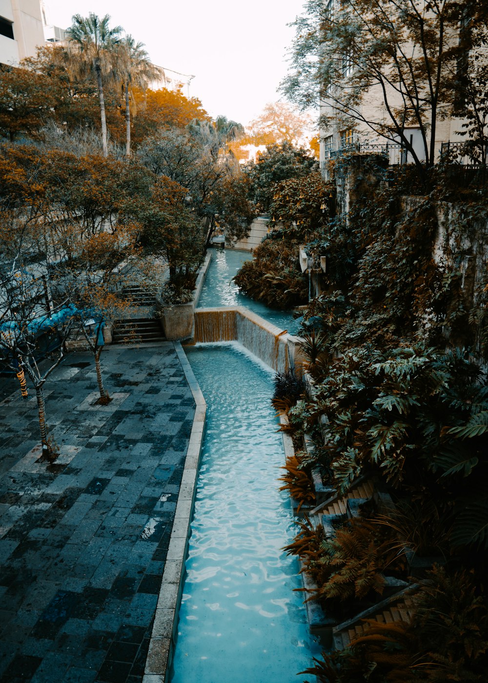 green trees near swimming pool during daytime