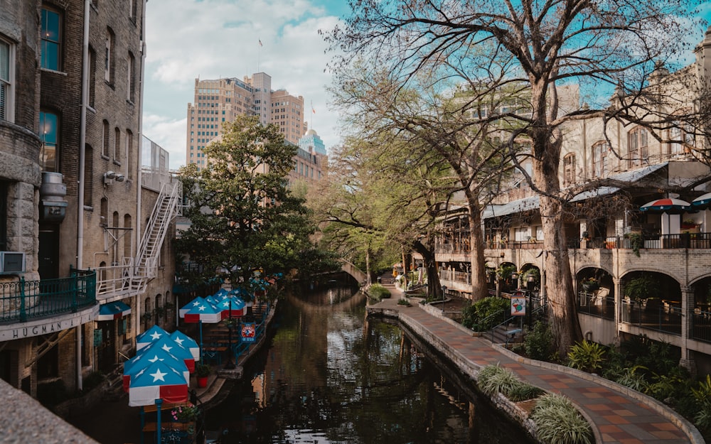 rio entre árvores e edifícios durante o dia