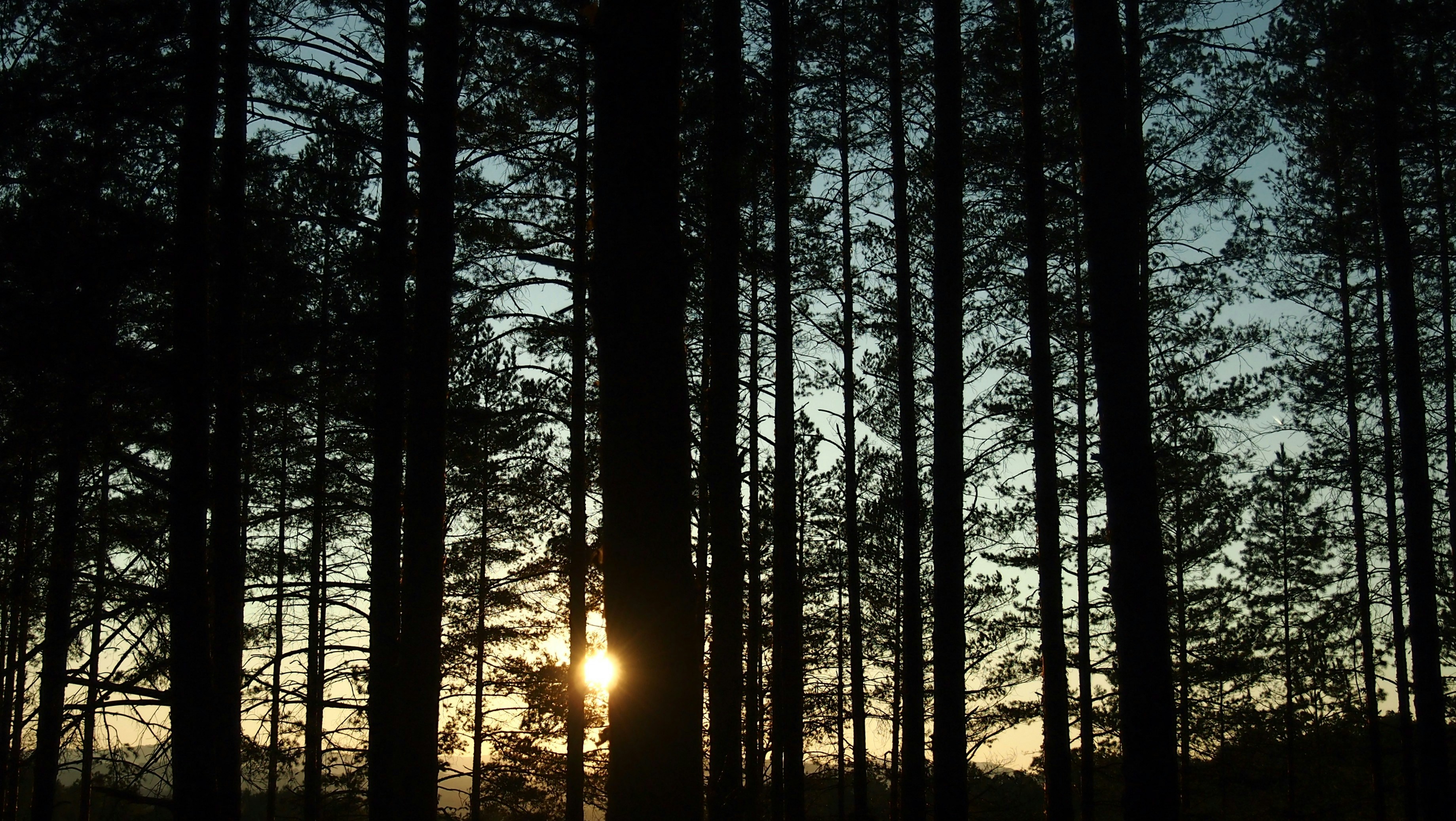 Photo by andrija__vukanovic