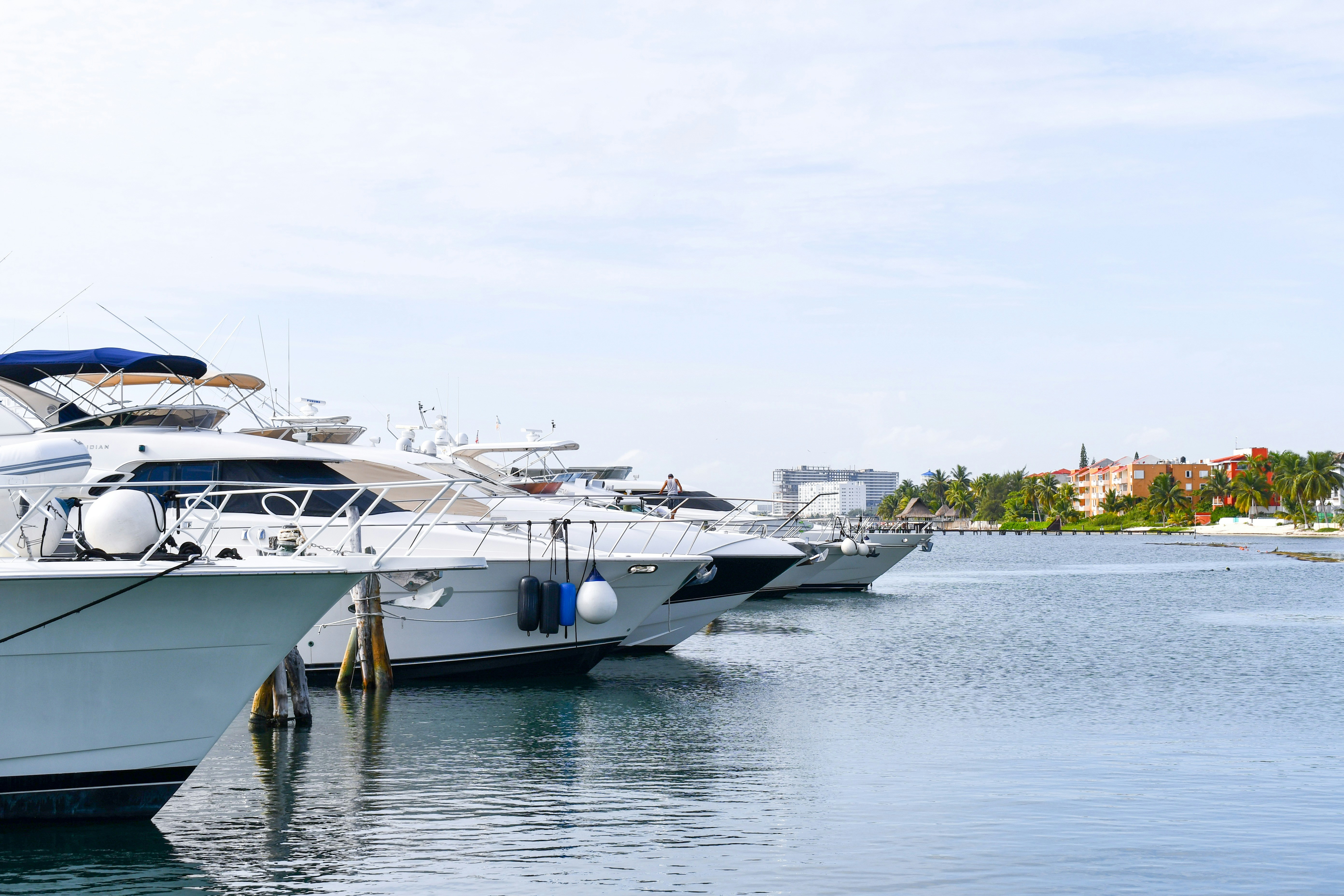 Photo by angelhass21