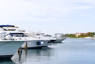 A line of luxury yachts is docked in a calm marina with a view of the shoreline in the background. The sky is clear with a few clouds, and there are several buildings and palm trees visible on the distant shore.