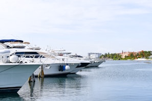 A line of luxury yachts is docked in a calm marina with a view of the shoreline in the background. The sky is clear with a few clouds, and there are several buildings and palm trees visible on the distant shore.