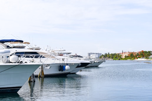 A line of luxury yachts is docked in a calm marina with a view of the shoreline in the background. The sky is clear with a few clouds, and there are several buildings and palm trees visible on the distant shore.