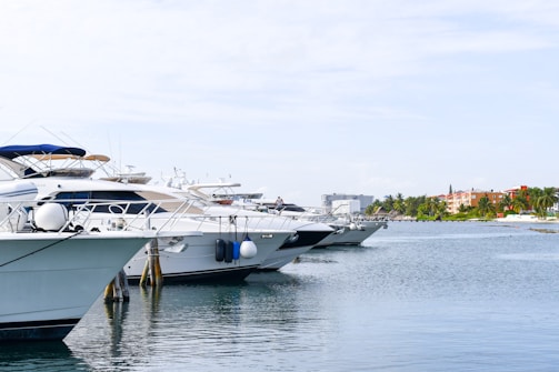 A line of luxury yachts is docked in a calm marina with a view of the shoreline in the background. The sky is clear with a few clouds, and there are several buildings and palm trees visible on the distant shore.